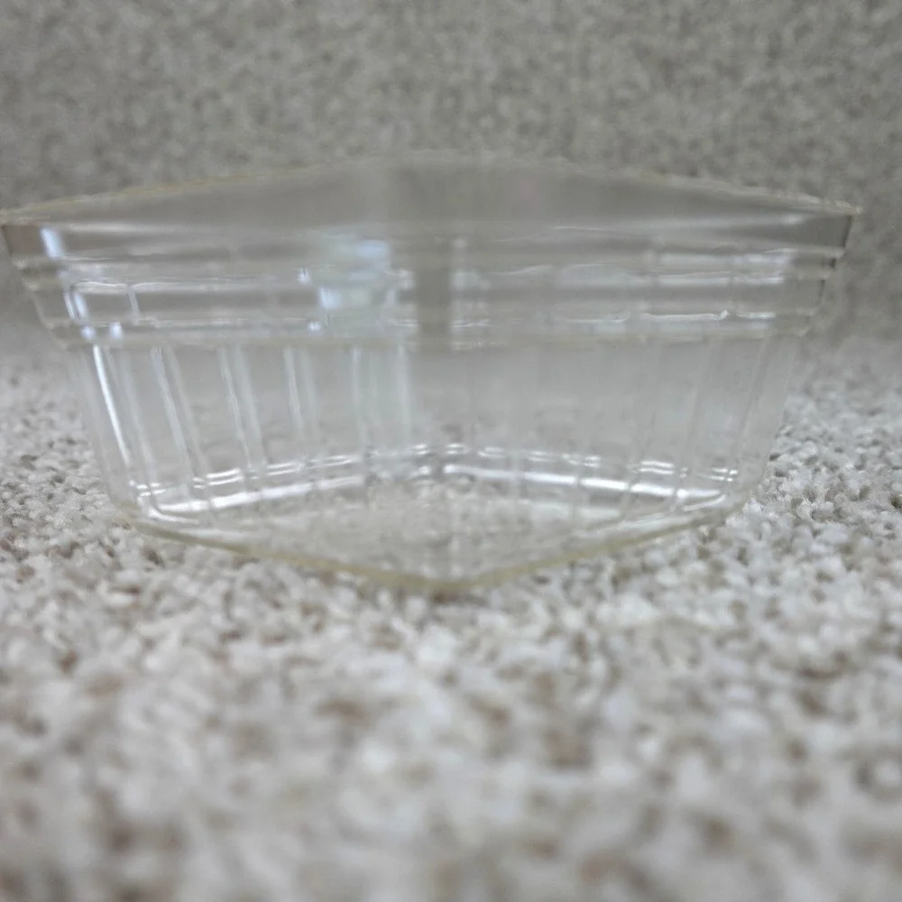 Longaberger 2012 Horizon of Hope Clear Plastic Basket Protector 40850